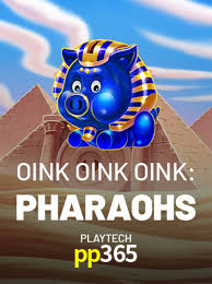 A Experiência Imersiva dos Cassinos Ao Vivo no pp365